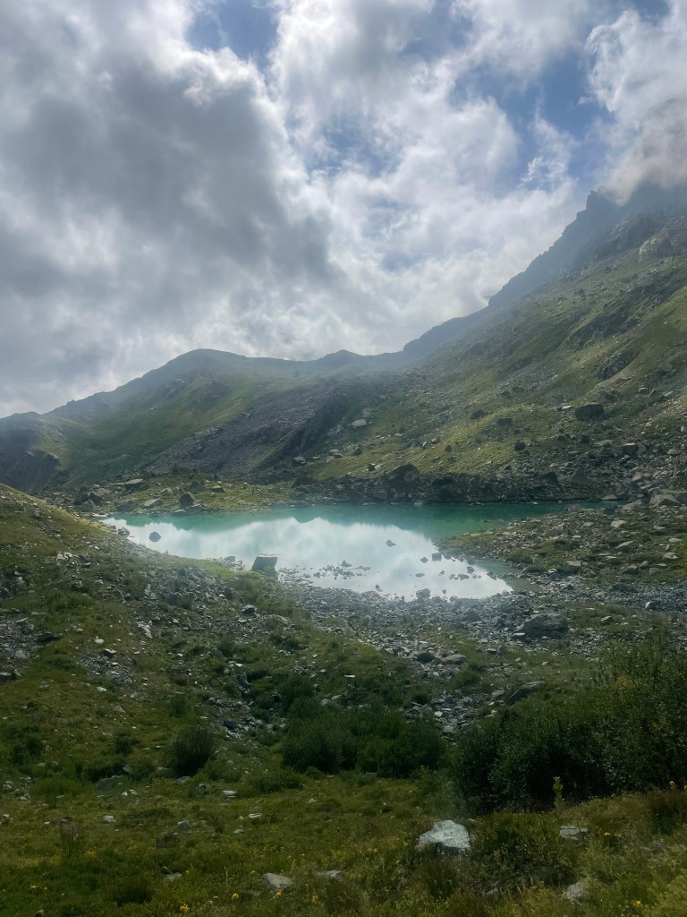 Le coeur bleue sauvage des montagnes alpines... 